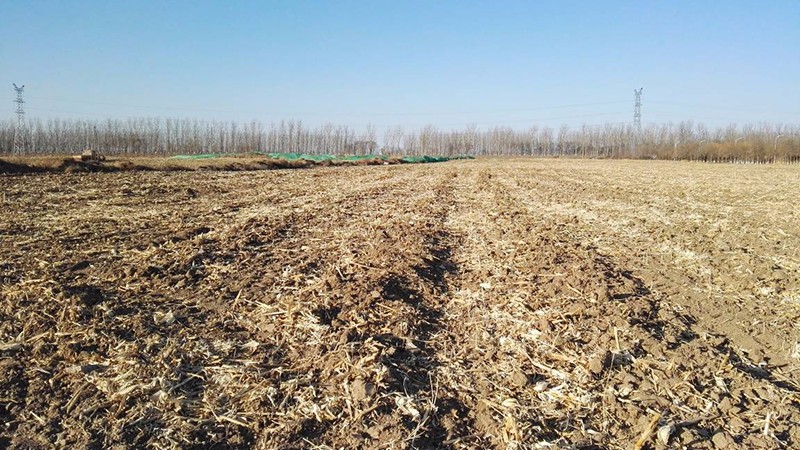 2.现场无构筑我院中标武清开发区四期工业项目泥土环境调查评估项目3.13.jpg 2.现场无构筑我院中标武清开发区四期工业项目泥土环境调查评估项目3.13.jpg